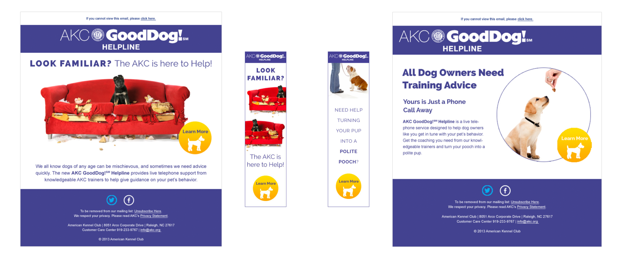 American Kennel Club—digital campaigns